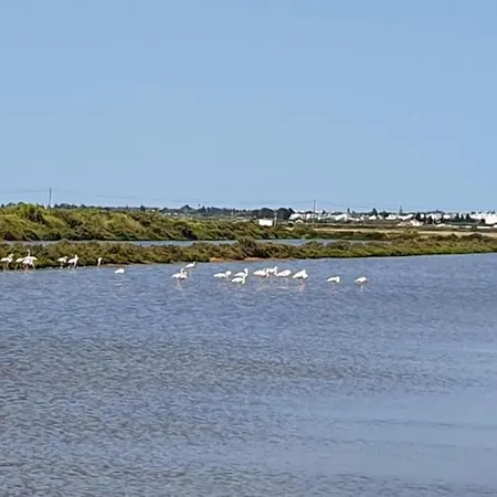 Appartamento Golden Sun *