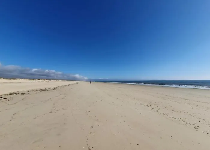 Golden Sun 타비라