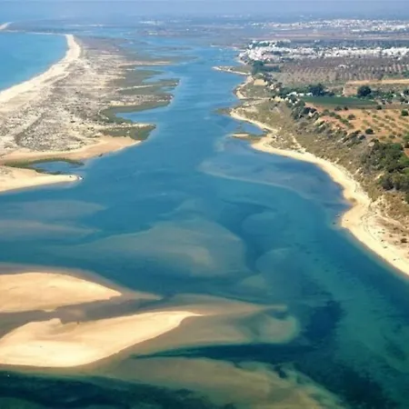 Golden Sun * タヴィラ