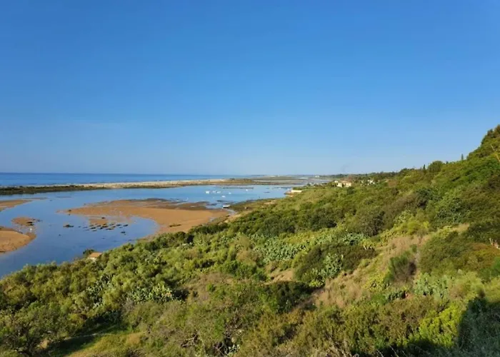 Golden Sun * タヴィラ