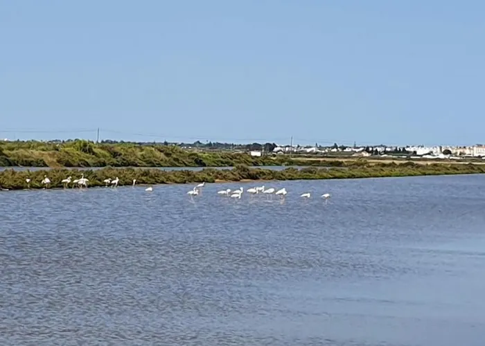 アパート Golden Sun *