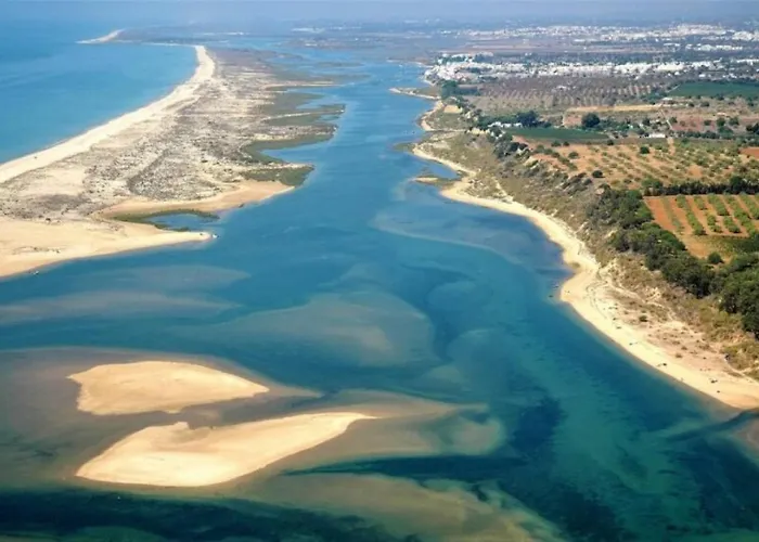 Golden Sun * タヴィラ